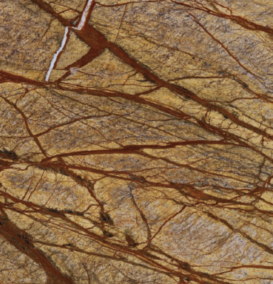 Rainforest Brown