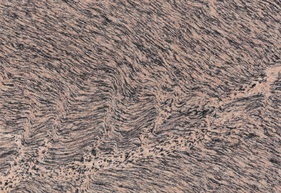 Tiger Skin